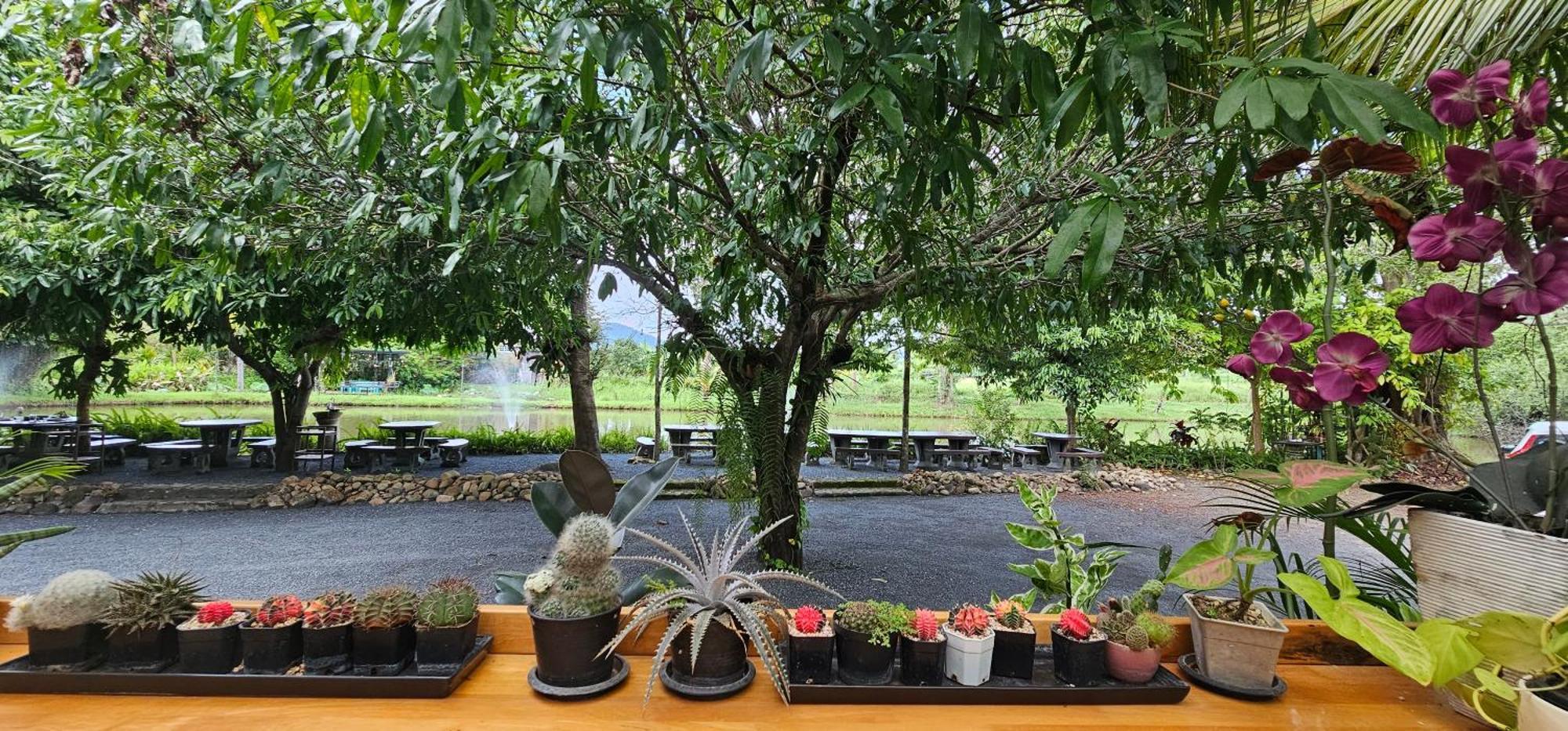 Homdoiintr Farmstay ฮ่อมดอยอินทร์ ฟาร์มสเตย์ Ban Huai Kaeo Exterior photo