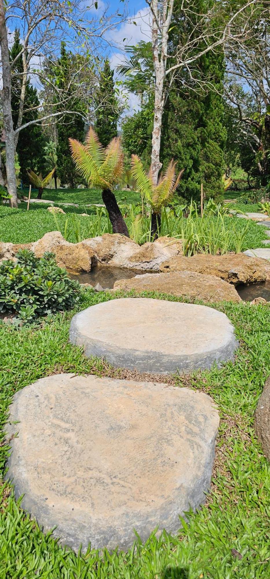 Homdoiintr Farmstay ฮ่อมดอยอินทร์ ฟาร์มสเตย์ Ban Huai Kaeo Exterior photo