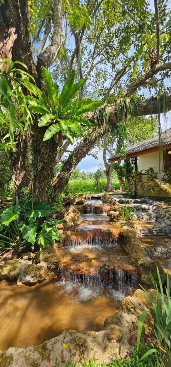 Homdoiintr Farmstay ฮ่อมดอยอินทร์ ฟาร์มสเตย์ Ban Huai Kaeo Exterior photo