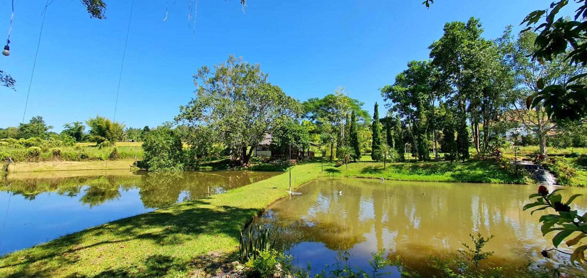 Homdoiintr Farmstay ฮ่อมดอยอินทร์ ฟาร์มสเตย์ Ban Huai Kaeo Exterior photo